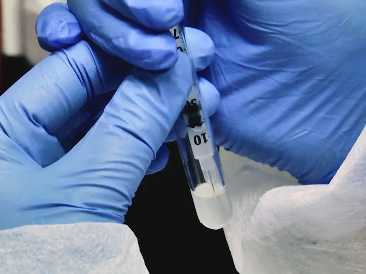 Ultrasound-guided Intracardiac Injection of Human Mesenchymal Stem Cells to Increase Homing to the Intestine for Use in Murine Models of Experimental Inflammatory Bowel Diseases