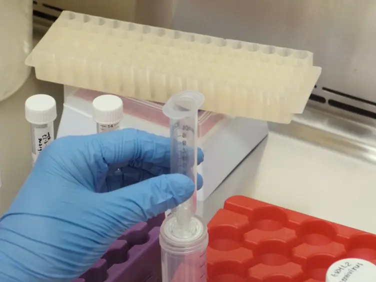 Induction of Mesenchymal-Epithelial Transitions in Sarcoma Cells