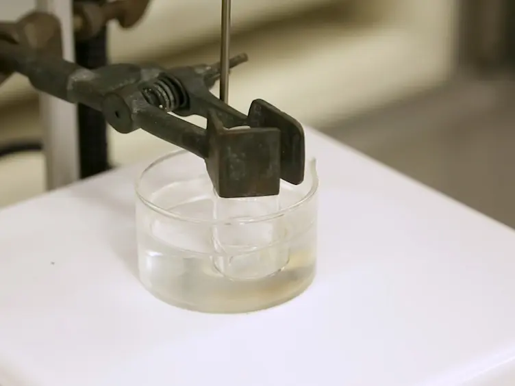 From Molecules to Materials: Engineering New Ionic Liquid Crystals Through Halogen Bonding