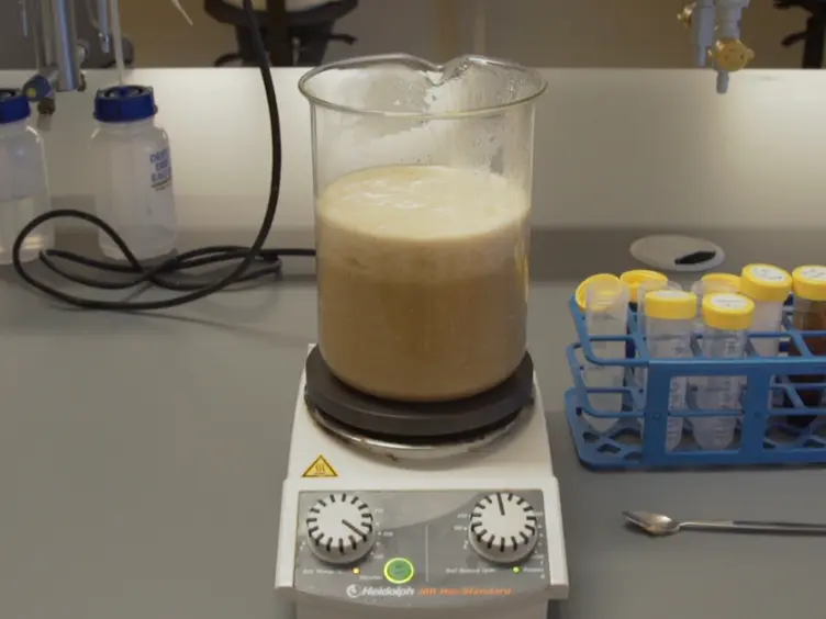 A Method to Test the Effect of Environmental Cues on Mating Behavior in <em>Drosophila melanogaster</em>