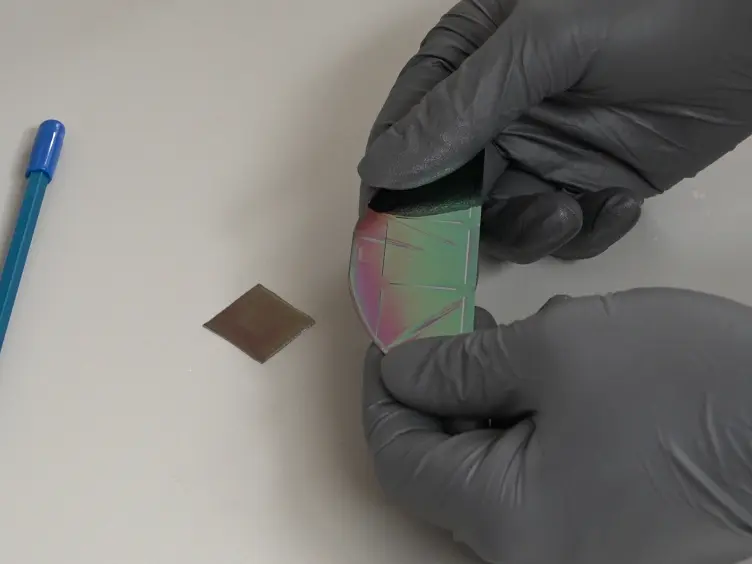 Assembly and Tracking of Microbial Community Development within a Microwell Array Platform