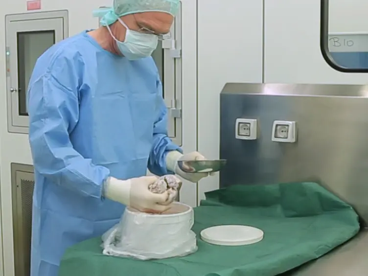 Optimized Protocol for the Extraction of Proteins from the Human Mitral Valve