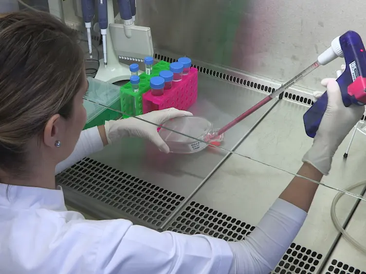 Simultaneous Measurement of HDAC1 and HDAC6 Activity in HeLa Cells Using UHPLC-MS
