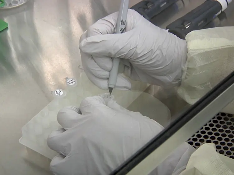 Methods and Tips for Intravenous Administration of Adeno-associated Virus to Rats and Evaluation of Central Nervous System Transduction