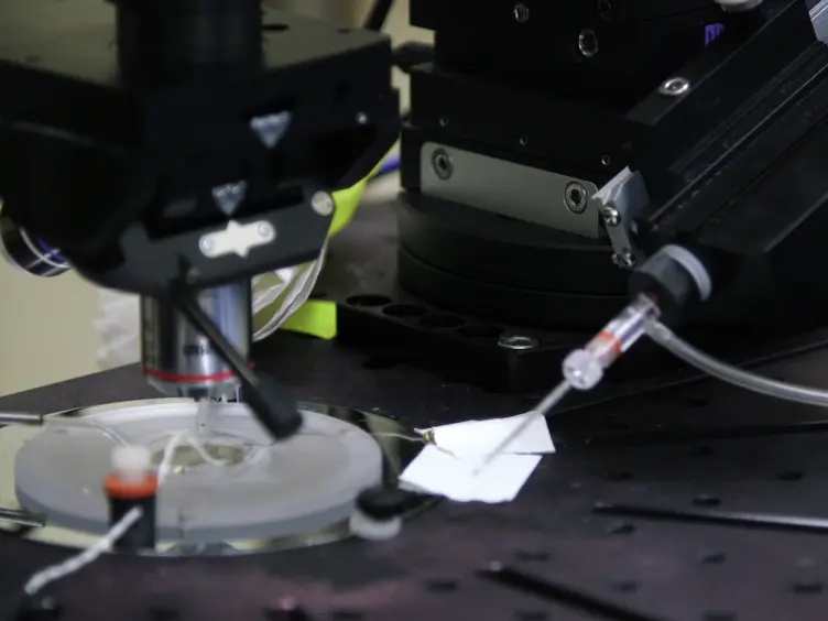 Application of Automated Image-guided Patch Clamp for the Study of Neurons in Brain Slices