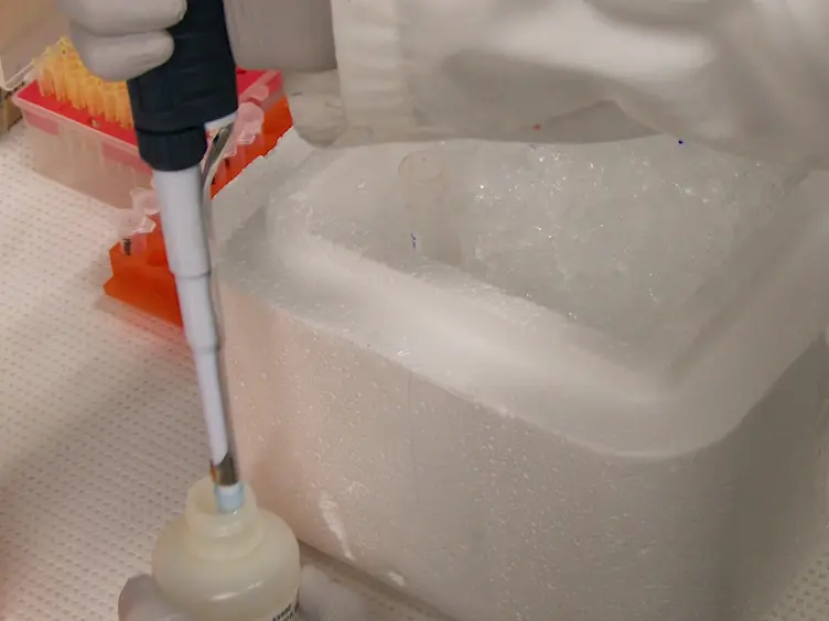 Sample Extraction and Simultaneous Chromatographic Quantitation of Doxorubicin and Mitomycin C Following Drug Combination Delivery in Nanoparticles to Tumor-bearing Mice