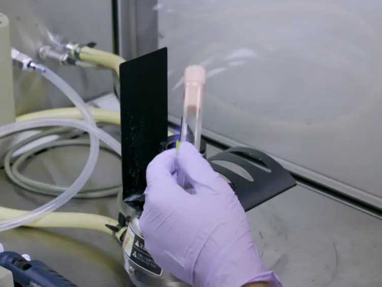 Precise, High-throughput Analysis of Bacterial Growth