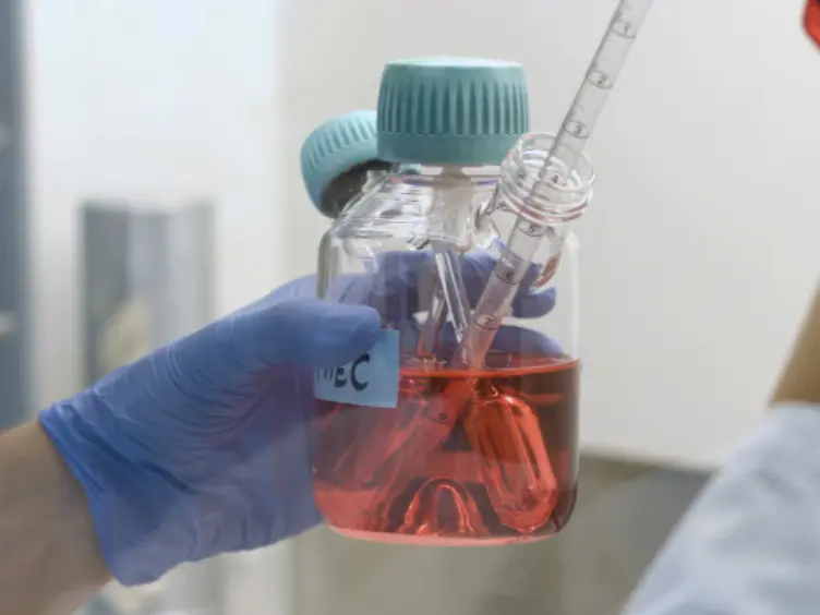 Assessment of the Anticoagulant and Anti-inflammatory Properties of Endothelial Cells Using 3D Cell Culture and Non-anticoagulated Whole Blood