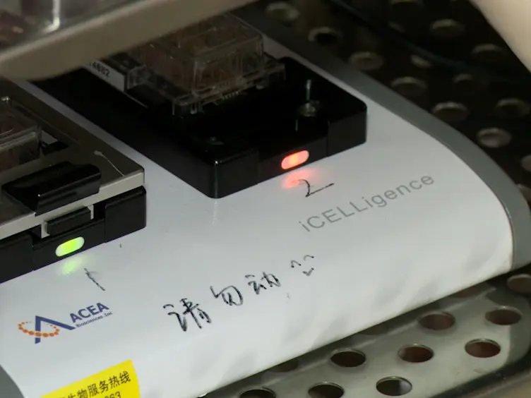 Regeneration of Arrayed Gold Microelectrodes Equipped for a Real-Time Cell Analyzer