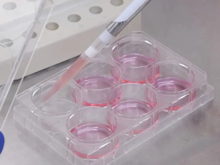 Efficient Generation and Editing of Feeder-free IPSCs from Human Pancreatic Cells Using the CRISPR-Cas9 System