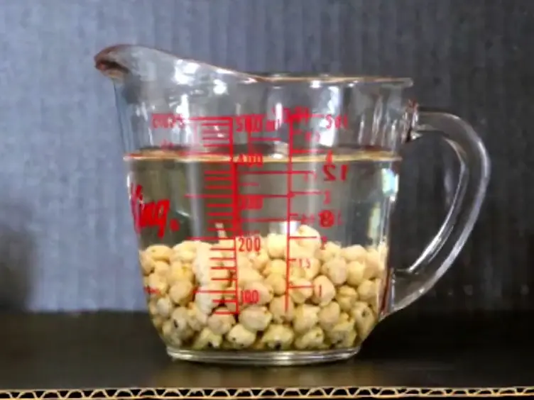 Composition and Properties of Aquafaba: Water Recovered from Commercially Canned Chickpeas