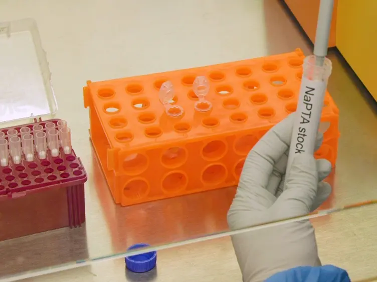 Real-time Quaking-induced Conversion Assay for Detection of CWD Prions in Fecal Material