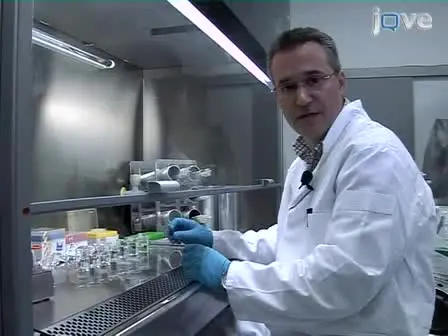 Chip-based Three-dimensional Cell Culture in Perfused Micro-bioreactors