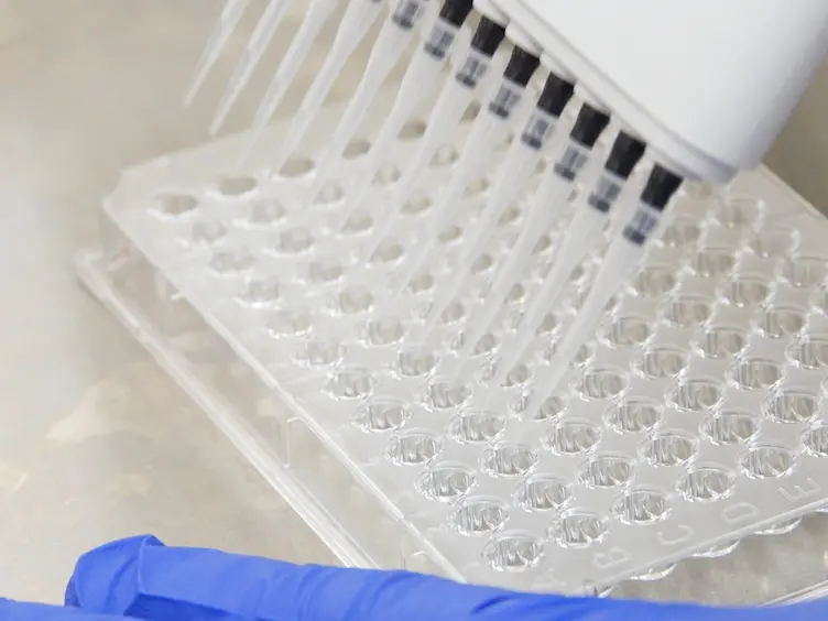 Overlapping Peptide Library to Map Qa-1 Epitopes in a Protein