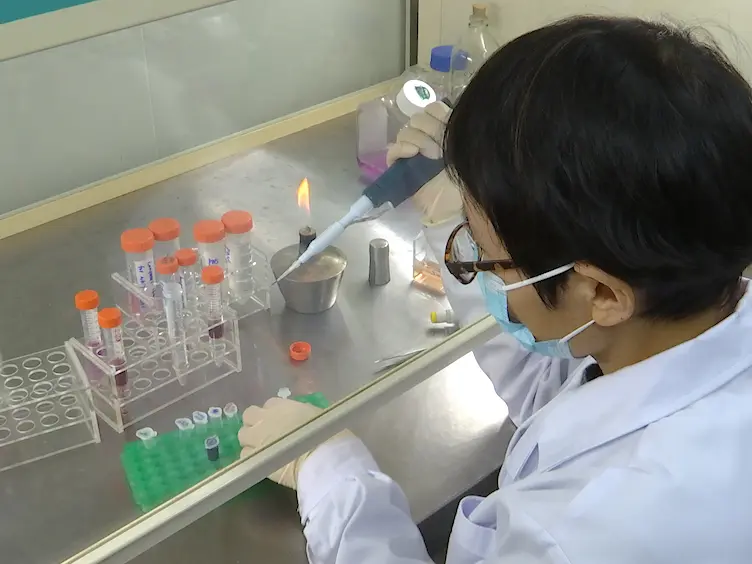 An Efficient and Simple Method to Establish NK and T Cell Lines from Patients with Chronic Active Epstein-Barr Virus Infection