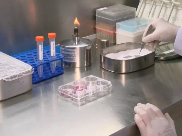 Application of Aorta-gonad-mesonephros Explant Culture System in Developmental Hematopoiesis