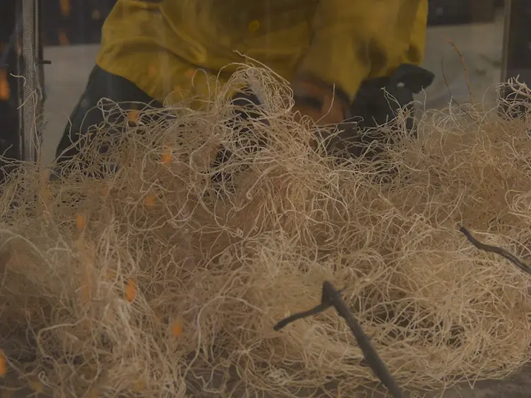 Wind Tunnel Experiments to Study Chaparral Crown Fires
