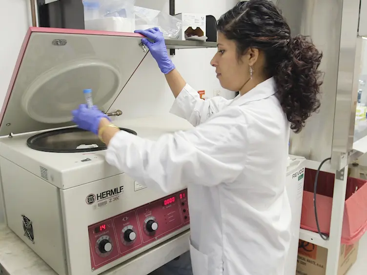 Rapid Detection of Neurodevelopmental Phenotypes in Human Neural Precursor Cells (NPCs)