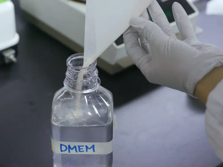 Establishment of an Extracellular Acidic pH Culture System