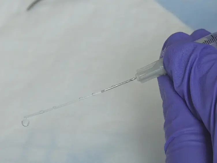 Transurethral Instillation Procedure in Adult Male Mouse