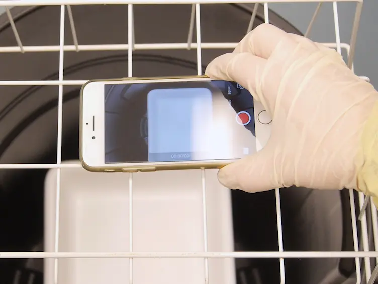 A Simple and Low-cost Assay for Measuring Ambulation in Mouse Models of Muscular Dystrophy