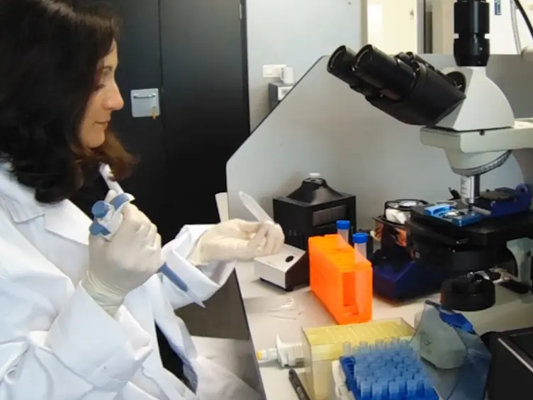 Fish Sperm Assessment Using Software and Cooling Devices