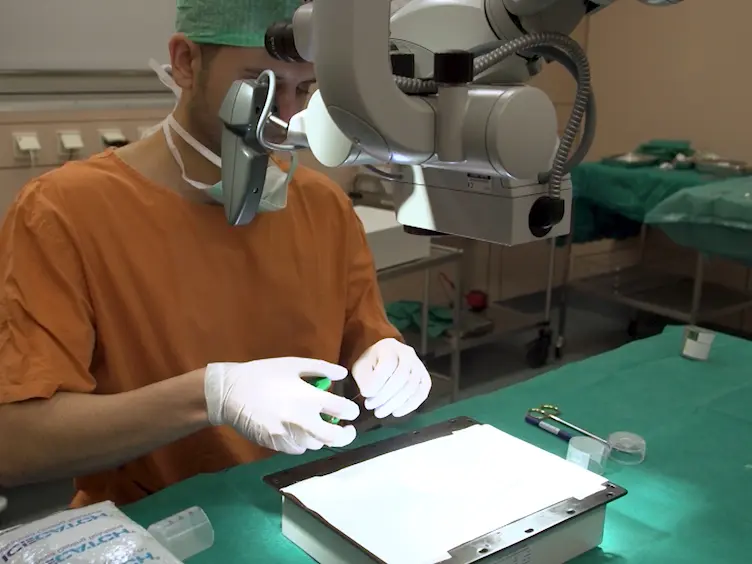Cochlear Implantation in the Guinea Pig