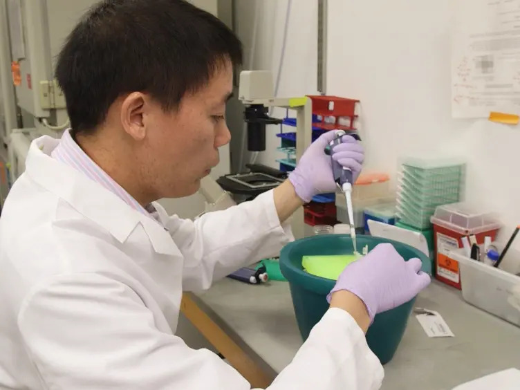 A Western Blotting Protocol for Small Numbers of Hematopoietic Stem Cells