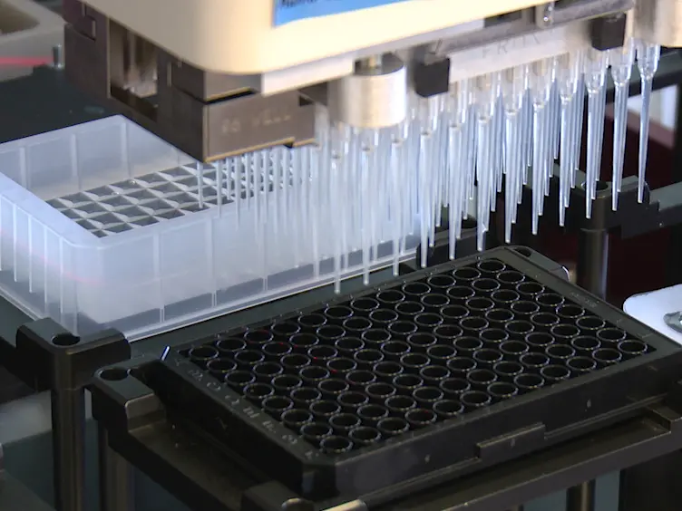 Therapy Testing in a Spheroid-based 3D Cell Culture Model for Head and Neck Squamous Cell Carcinoma