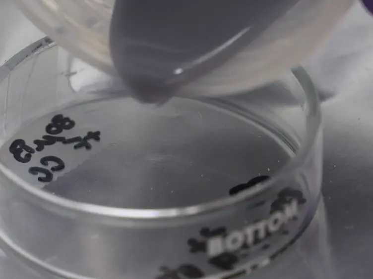 Fabrication and Characterization of Optical Tissue Phantoms Containing Macrostructure