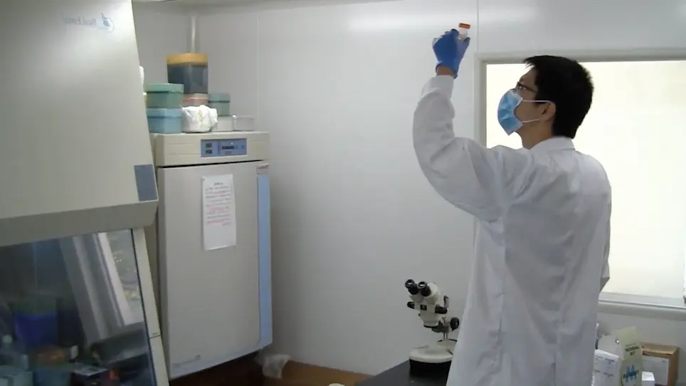 Generation of Monoclonal Antibodies Against Natural Products