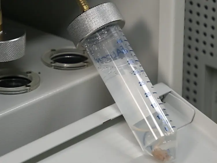 Novel Passive Clearing Methods for the Rapid Production of Optical Transparency in Whole CNS Tissue
