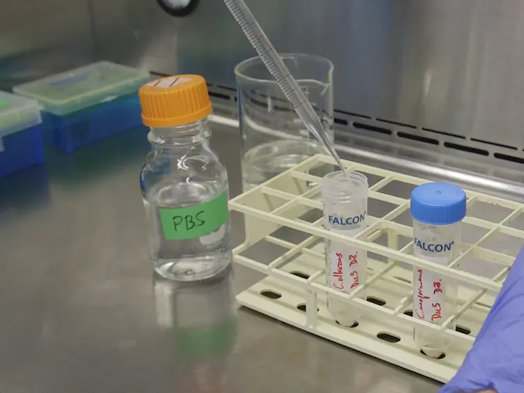 Broth Microdilution <em>In Vitro</em> Screening: An Easy and Fast Method to Detect New Antifungal Compounds