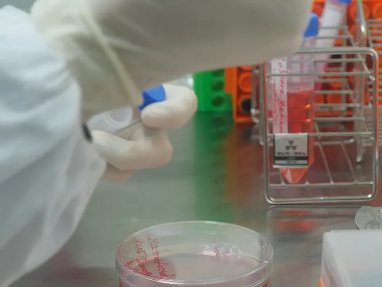An Optogenetic Method to Control and Analyze Gene Expression Patterns in Cell-to-cell Interactions
