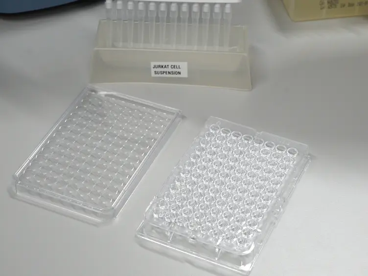 A Flow Cytometry-based Assay to Identify Compounds That Disrupt Binding of Fluorescently-labeled CXC Chemokine Ligand 12 to CXC Chemokine Receptor 4