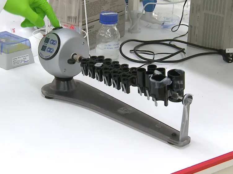 Rapid Nanoprobe Signal Enhancement by <em>In Situ</em> Gold Nanoparticle Synthesis