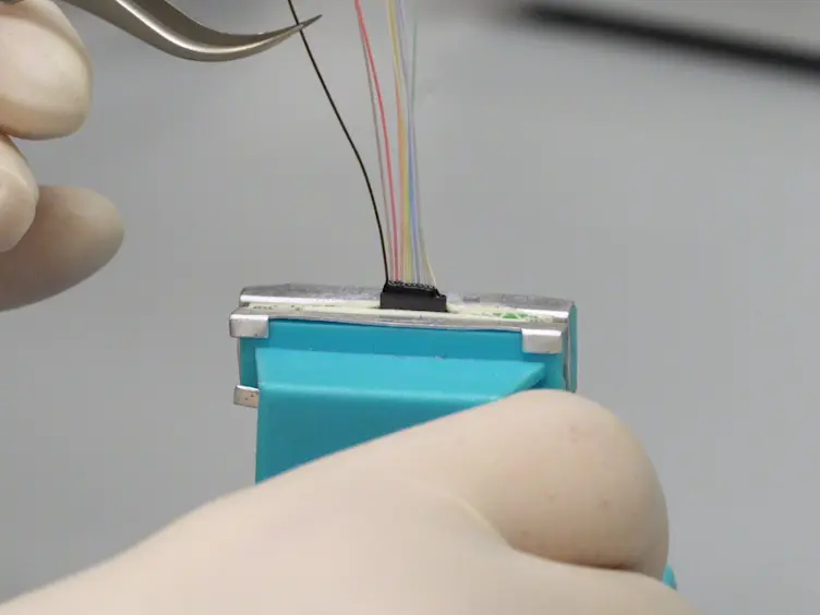 Simultaneous Video-EEG-ECG Monitoring to Identify Neurocardiac Dysfunction in Mouse Models of Epilepsy