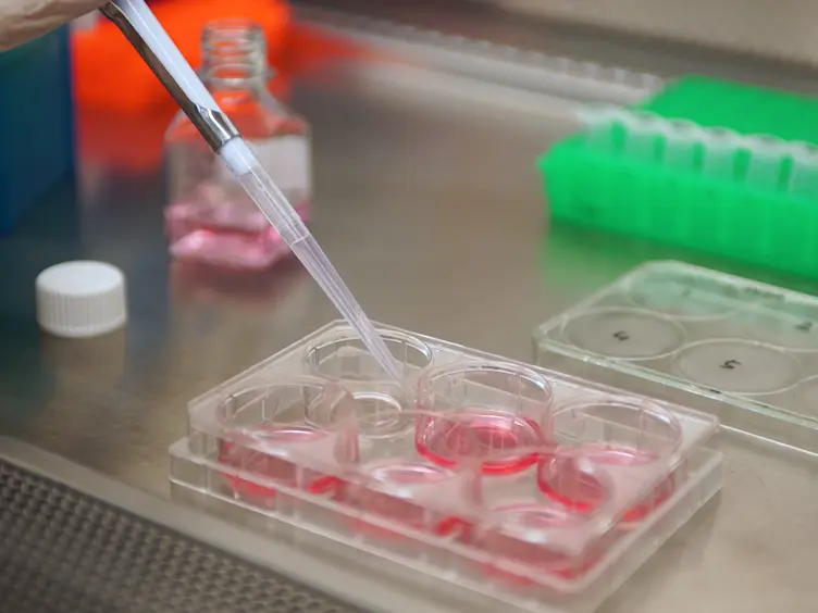 Lighting Up the Pathways to Caspase Activation Using Bimolecular Fluorescence Complementation