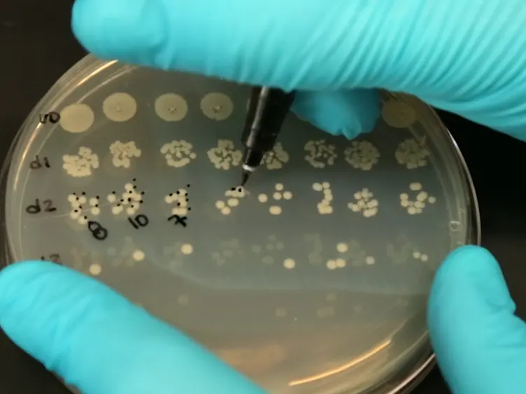 Bile Salt-induced Biofilm Formation in Enteric Pathogens: Techniques for Identification and Quantification