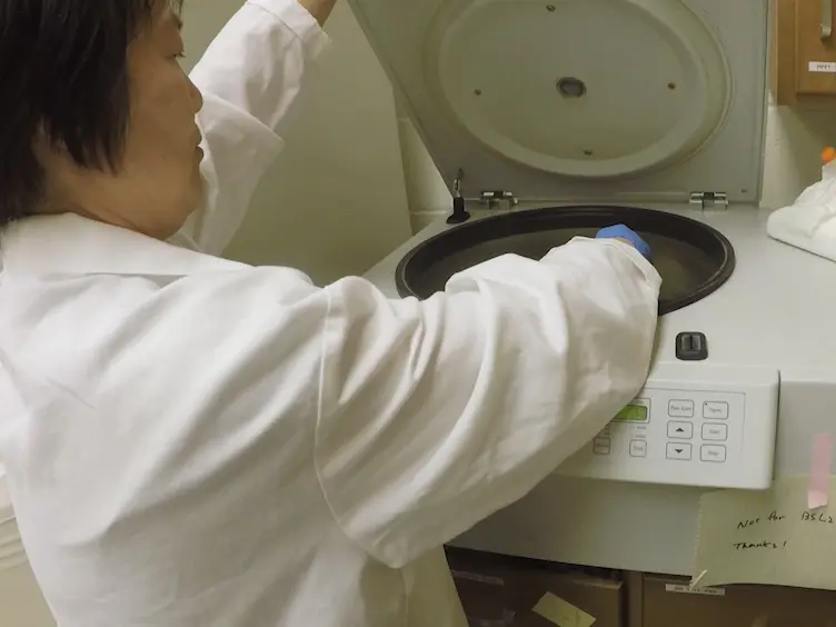 A Murine Pancreatic Islet Cell-based Screening for Diabetogenic Environmental Chemicals
