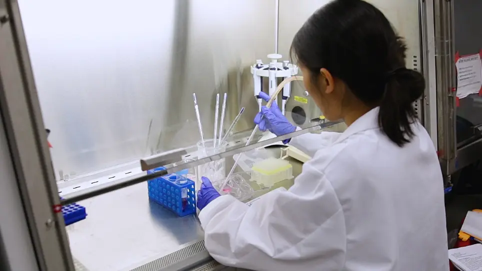 CRISPR-Mediated Reorganization of Chromatin Loop Structure
