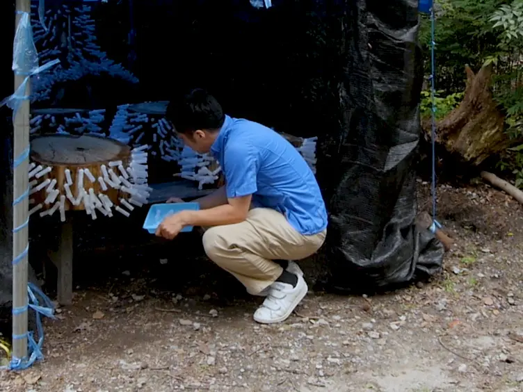 Measuring the Flight Ability of the Ambrosia Beetle, <em>Platypus Quercivorus</em> (Murayama), Using a Low-Cost, Small, and Easily Constructed Flight Mill
