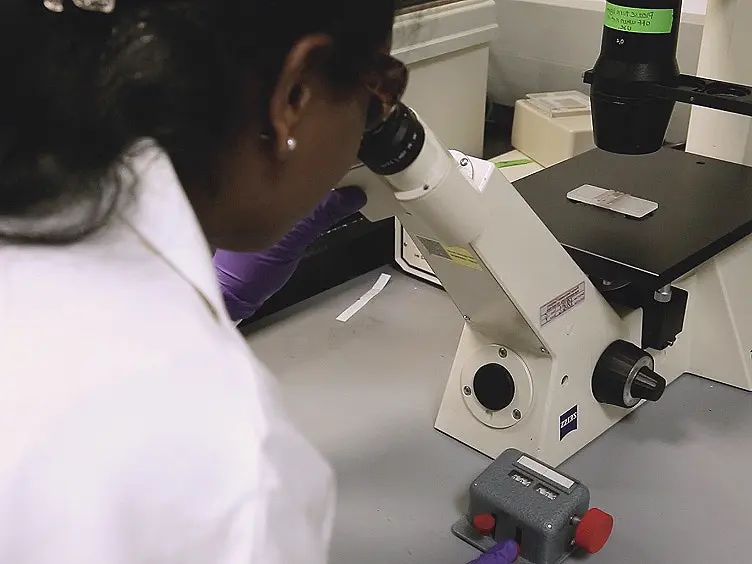 Generation of High-Throughput Three-Dimensional Tumor Spheroids for Drug Screening