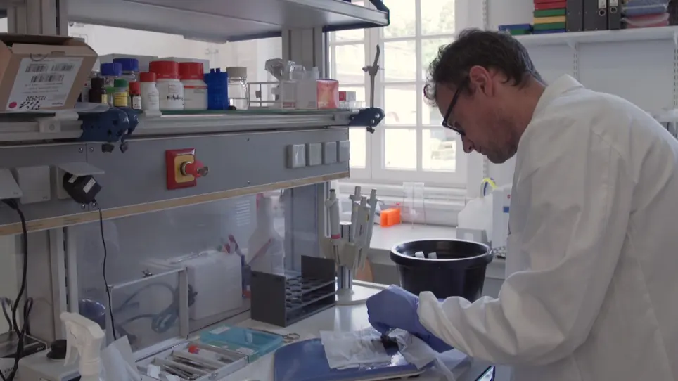 Time-lapse 3D Imaging of Phagocytosis by Mouse Macrophages