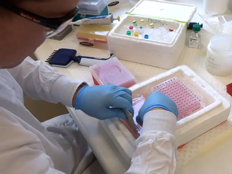 Candidate Gene Testing in Clinical Cohort Studies with Multiplexed Genotyping and Mass Spectrometry