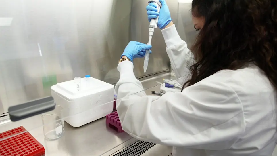 Detection of Small GTPase Prenylation and GTP Binding Using Membrane Fractionation and  GTPase-linked Immunosorbent Assay