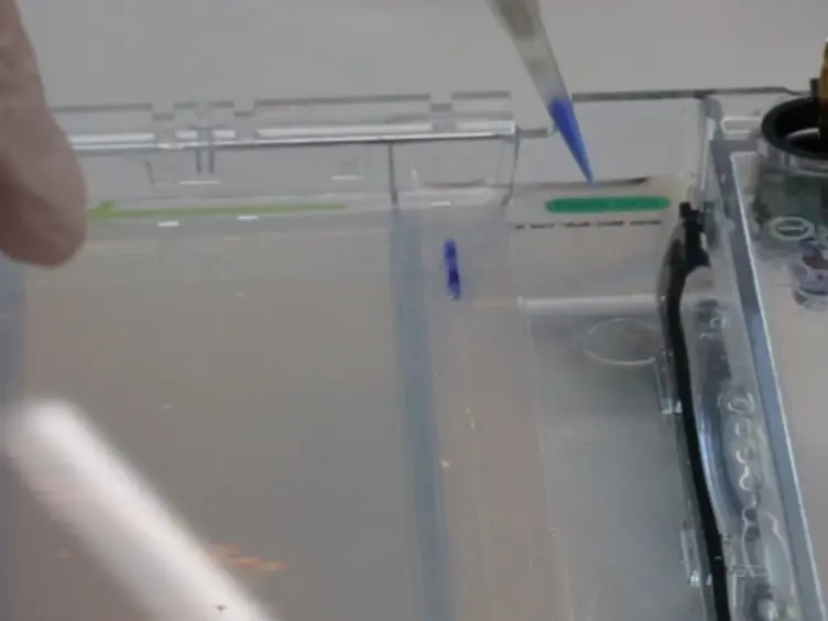 Methodology for Accurate Detection of Mitochondrial DNA Methylation