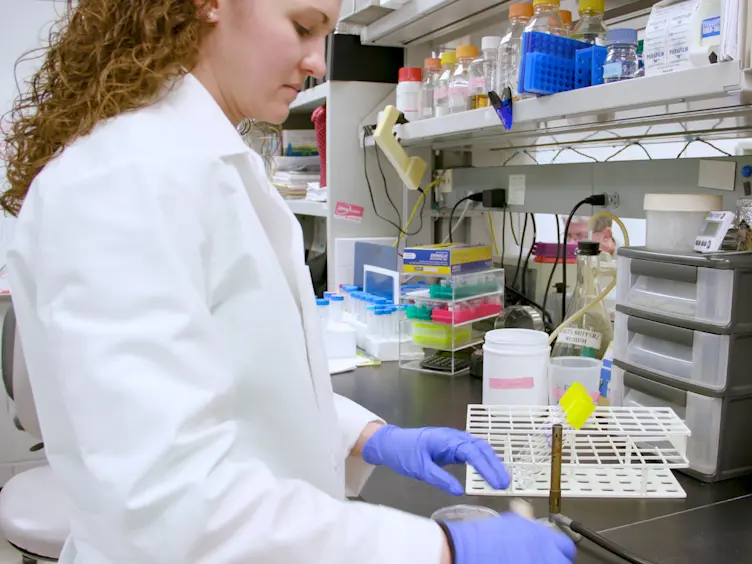 A Yeast 2-Hybrid Screen in Batch to Compare Protein Interactions