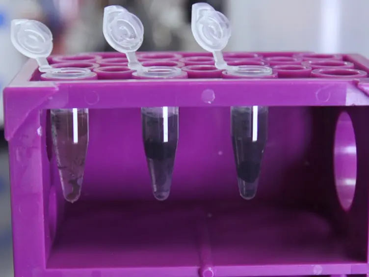 A Rapid Synthesis Method for Au, Pd, and Pt Aerogels Via Direct Solution-Based Reduction