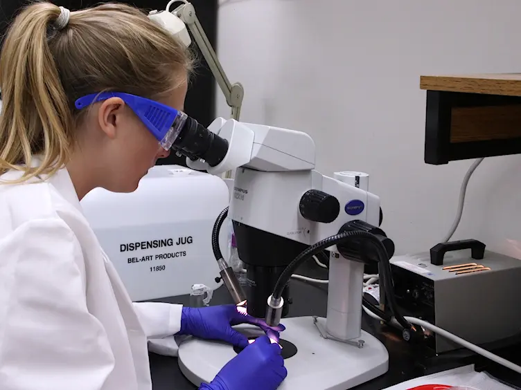 <em>In Vitro</em> Rearing of Solitary Bees: A Tool for Assessing Larval Risk Factors